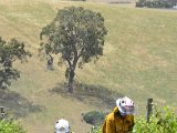 _DSC6476.JPG