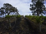 _DSC6482.JPG