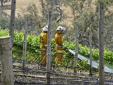_DSC6651.JPG