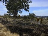 _DSC6669.JPG