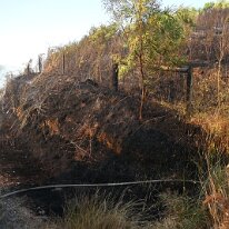 AshleyHosking-DSC_6490