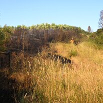 AshleyHosking-DSC_6491