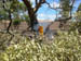west coast fires black tuesday 019