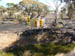 west coast fires black tuesday 031