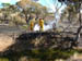 west coast fires black tuesday 032