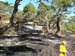 west coast fires black tuesday 039