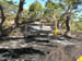 west coast fires black tuesday 040