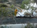 west coast fires black tuesday 061
