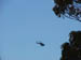 west coast fires black tuesday 098