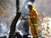 west coast fires black tuesday 116