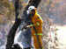 west coast fires black tuesday 117