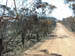 west coast fires black tuesday 126