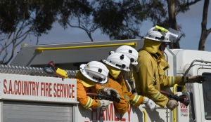 CFS Cadets in action