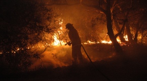 Firefighters attending to a bushfire