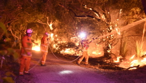 Firefighters attending to a bushfire