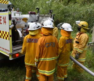 Brigade training - pumps