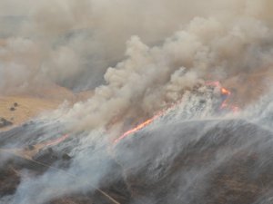 A grass fire