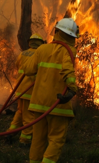 A scrub fire