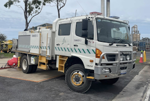 Green Triangle Forest 3