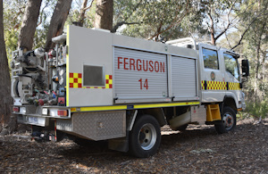 Ferguson 14