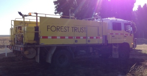 Forest Trust 1