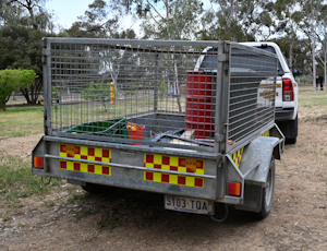 Region 5 Single Axle Trailer