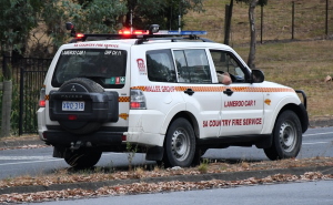 Lameroo Car 1